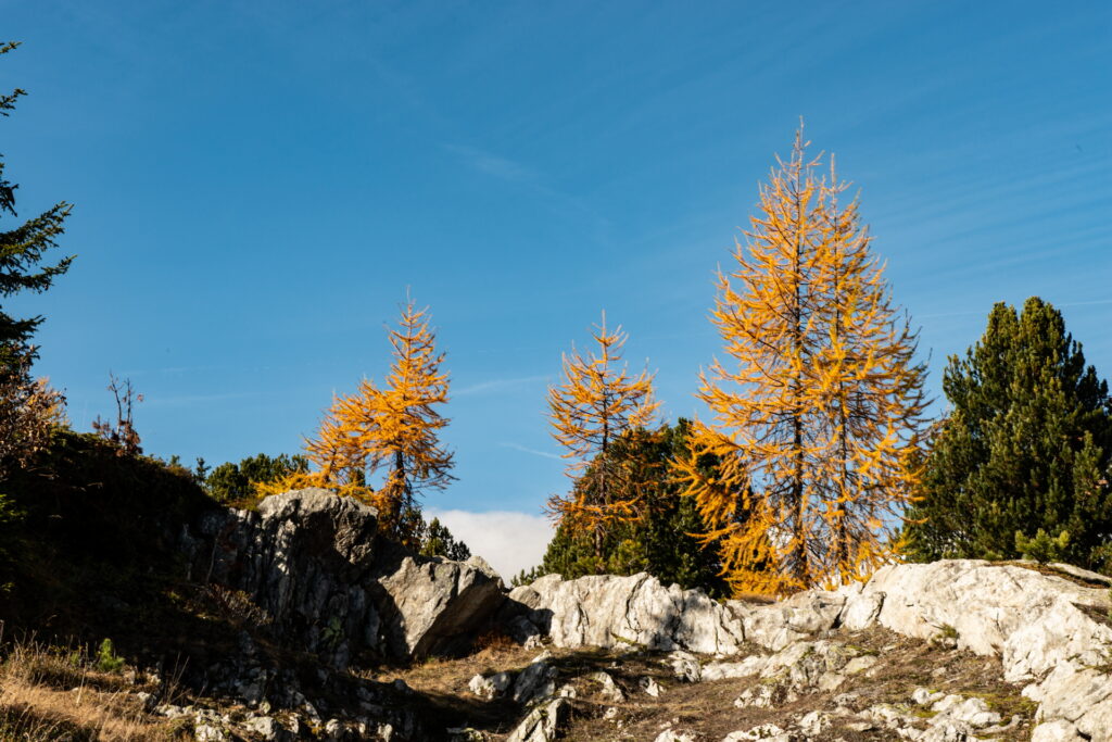 Aletsch Arena, wandern im Herbst